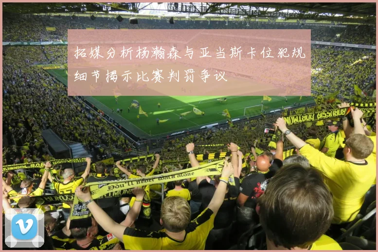 拓媒分析杨瀚森与亚当斯卡位犯规细节揭示比赛判罚争议