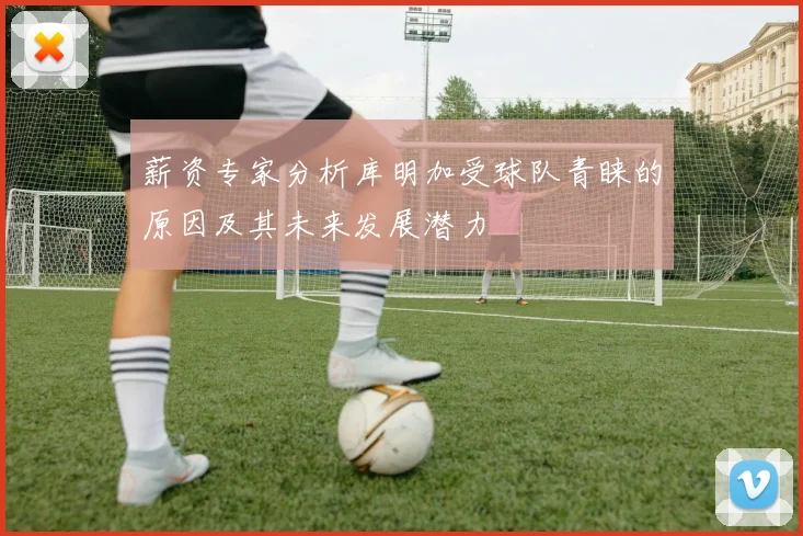 薪资专家分析库明加受球队青睐的原因及其未来发展潜力